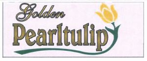 Trademark GOLDEN PEARLTULIP