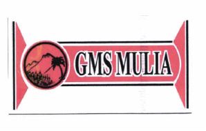 Trademark GMS MULlA + Logo