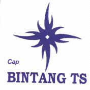 Trademark BINTANG TS+ Logo