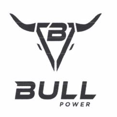 Trademark BULL POWER + LOGO