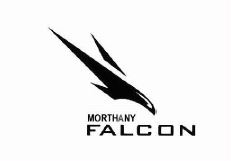 Trademark MORTHANY FALCON + LUKISAN