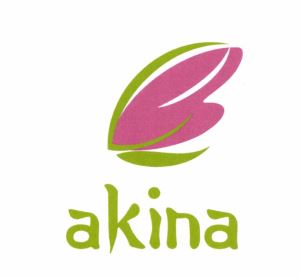 Trademark AKINA DAN LUKISAN