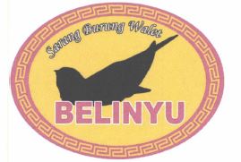 Trademark BELINYU