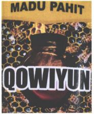 Trademark QOWIYUN