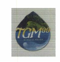 Trademark TGM99