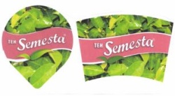 Trademark Teh Semesta