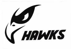 Trademark HAWKS + LUKISAN