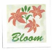 Trademark BLOOM + LOGO