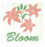 Trademark BLOOM + LOGO