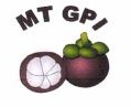 Trademark MT GPI + Logo