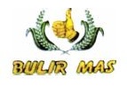 Trademark BULIRMAS+ logo