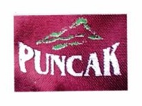 Trademark PUNCAK DAN LUKISAN