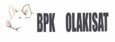 Trademark BPK OLAKISAT + LOGO