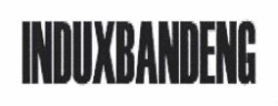 Trademark INDUXBANDENG