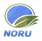 Trademark NORU+LOGO