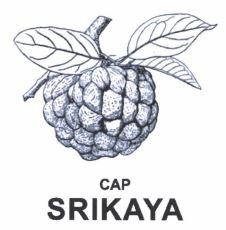 Trademark CAP SRIKAYA + LUKISAN