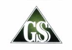 Trademark GSS +Logo