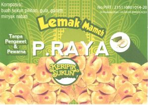 Trademark P. RAYA