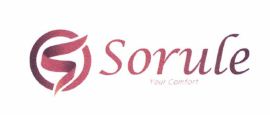 Trademark SORULE + LOGO