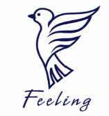 Trademark FEELING + LOGO