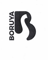 Trademark Boruya + Logo