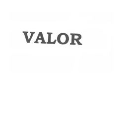 Trademark VALOR