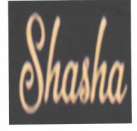 Trademark SHASAHA + LOGO