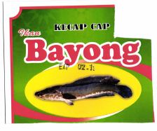 Trademark Ikan Bayong