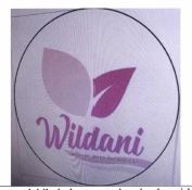 Trademark WILDANI + LOGO