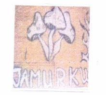 Trademark JAMURKU