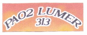 Trademark PAO2 LUMER 313