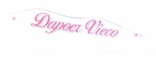 Trademark DAPOER VIECO