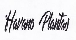 Trademark HAVANO PLANTAS