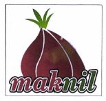 Trademark MAKNIL + LOGO