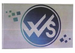 Trademark WS + LOGO