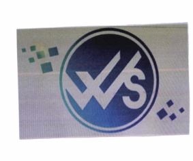 Trademark WS + LOGO