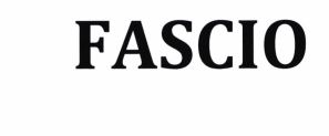 Trademark FASCIO