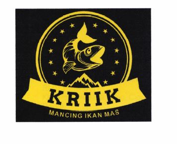 Trademark KRIIK