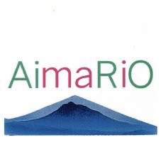 Trademark AIMARIO + LOGO