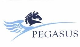 Trademark PEGASUS