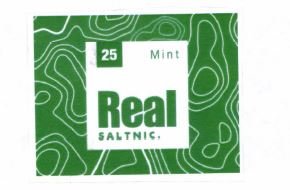 Trademark REAL SALTNIC