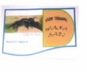 Trademark Madu Trigona WANA SARI