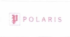 Trademark POLARIS + Logo