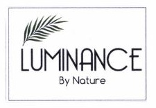 Trademark LUMINANCE + LOGO