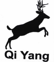 Trademark Qi Yang + Logo