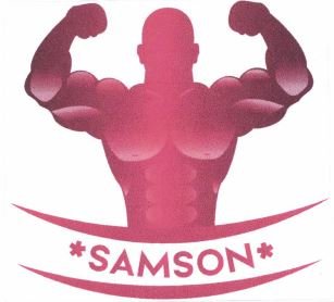 Trademark SAMSON