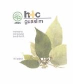 Trademark h+c guaslim Logo