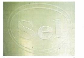 Trademark Sel + Logo