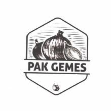 Trademark PAK GEMES + LOGO