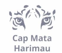 Trademark CAP MATA HARIMAU + LUKISAN